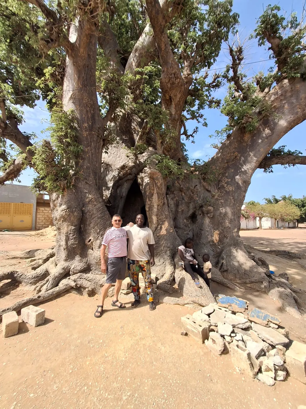 El baobab sagrado