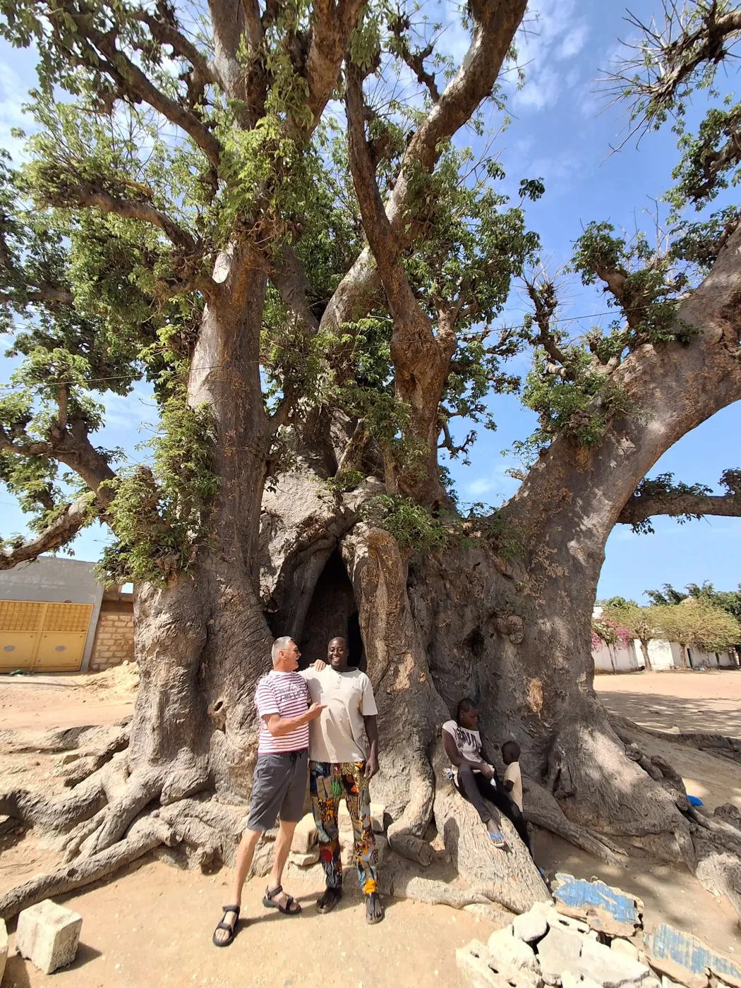 El enorme tronco del baobab sagrado