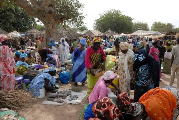 Mujeres haciendo la compra en el mercado, bajo un baobab