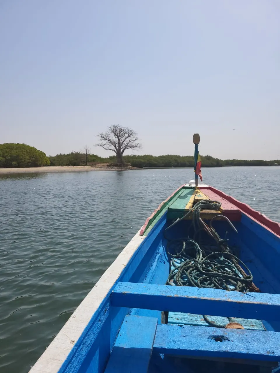 Pirogue by an islet with a baobab