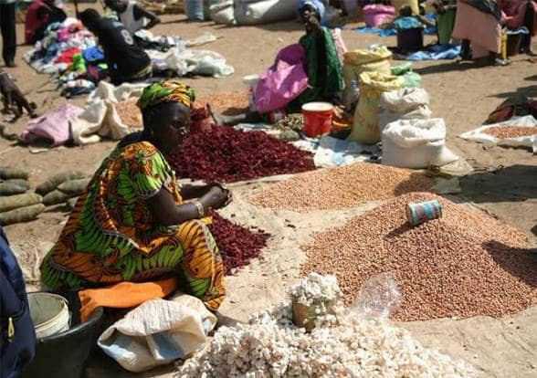 Vendedora de bissap seco y cacahuetes en el mercado