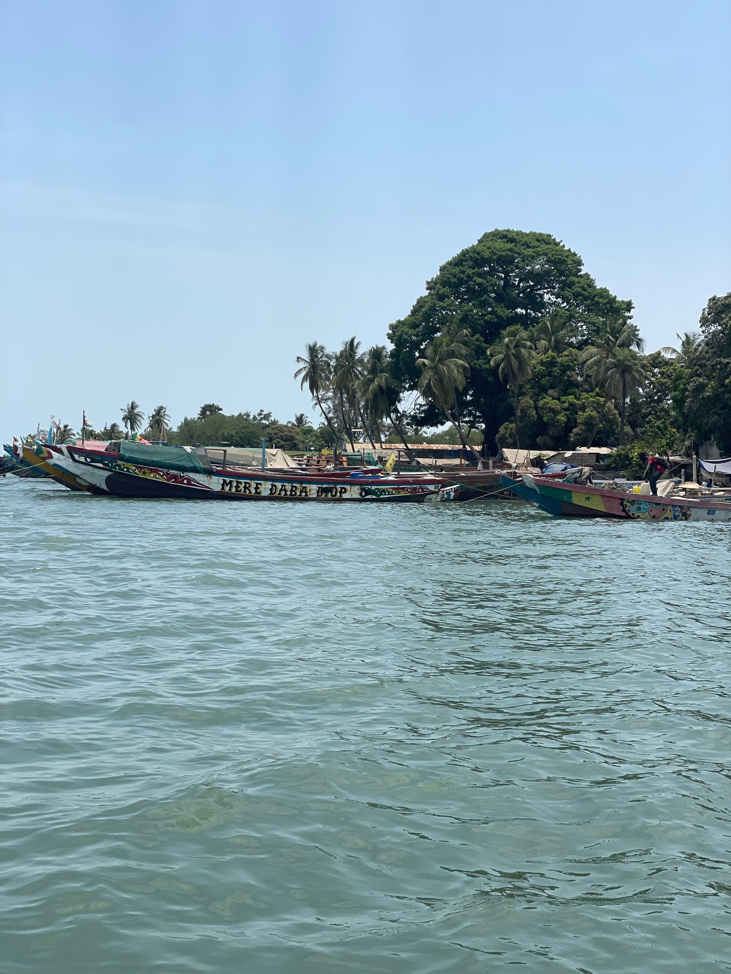 Pirogues peintes sur l'eau et grand fromager sur la rive en Casamance