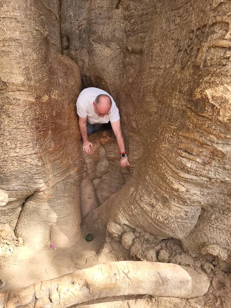 Visitante dentro de un baobab hueco