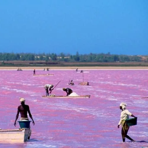 Salt harvesters in the pink waters of the Pink Lake